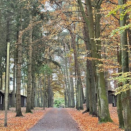 Feriendorf Fynnus Dranske Exteriör bild