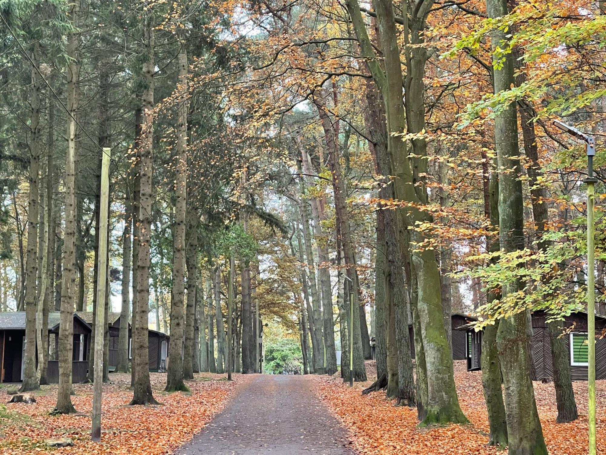 Feriendorf Fynnus Dranske Exteriör bild